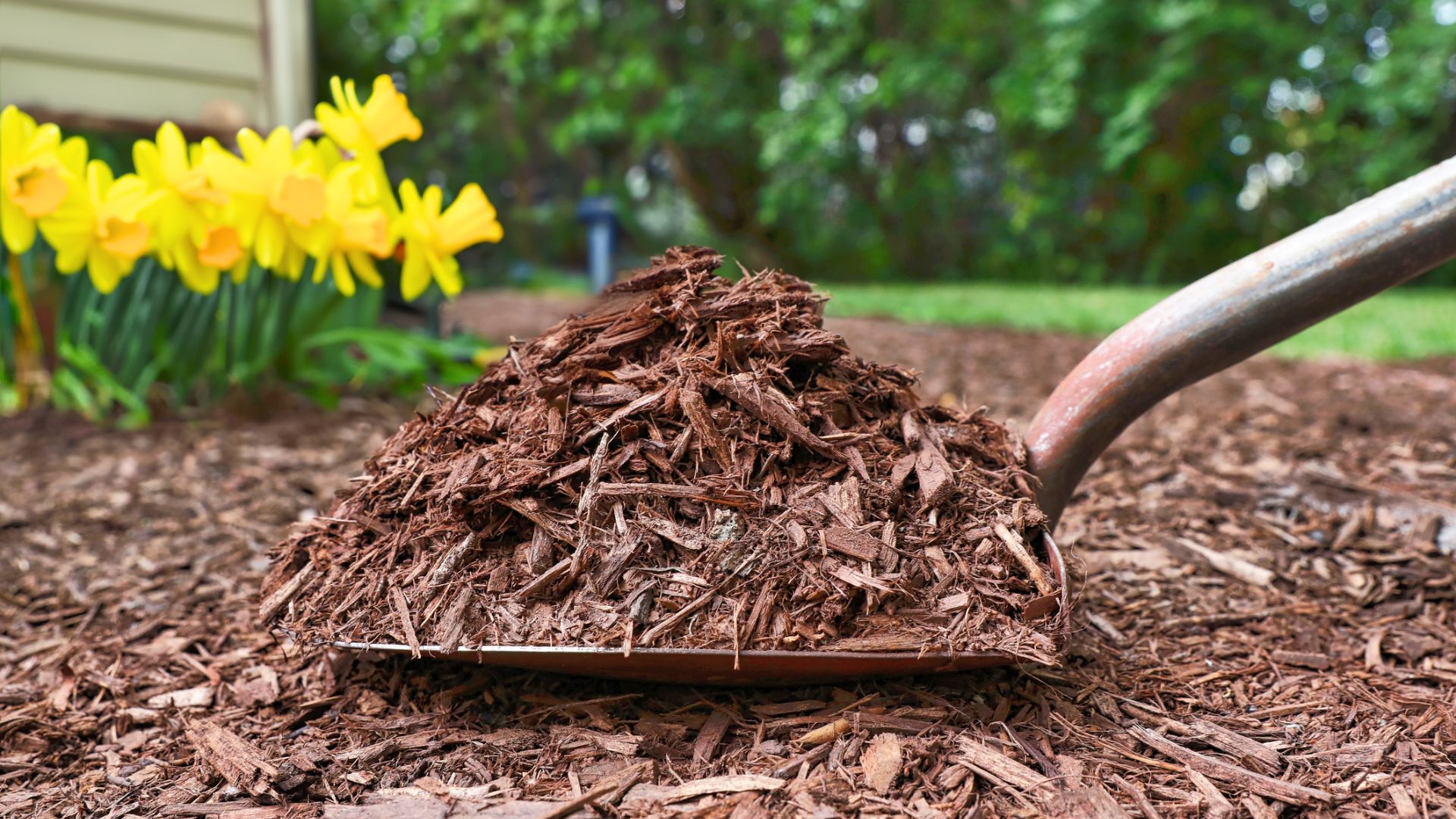 order your mulch delivery in cincinnati today